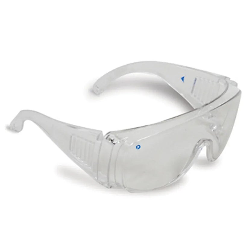 Paramount Visitor Safety Glasses - Clear Lens – RSEA Safety Outlet